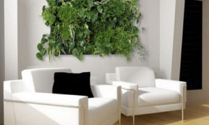 Вертикальное озеленение в интерьере